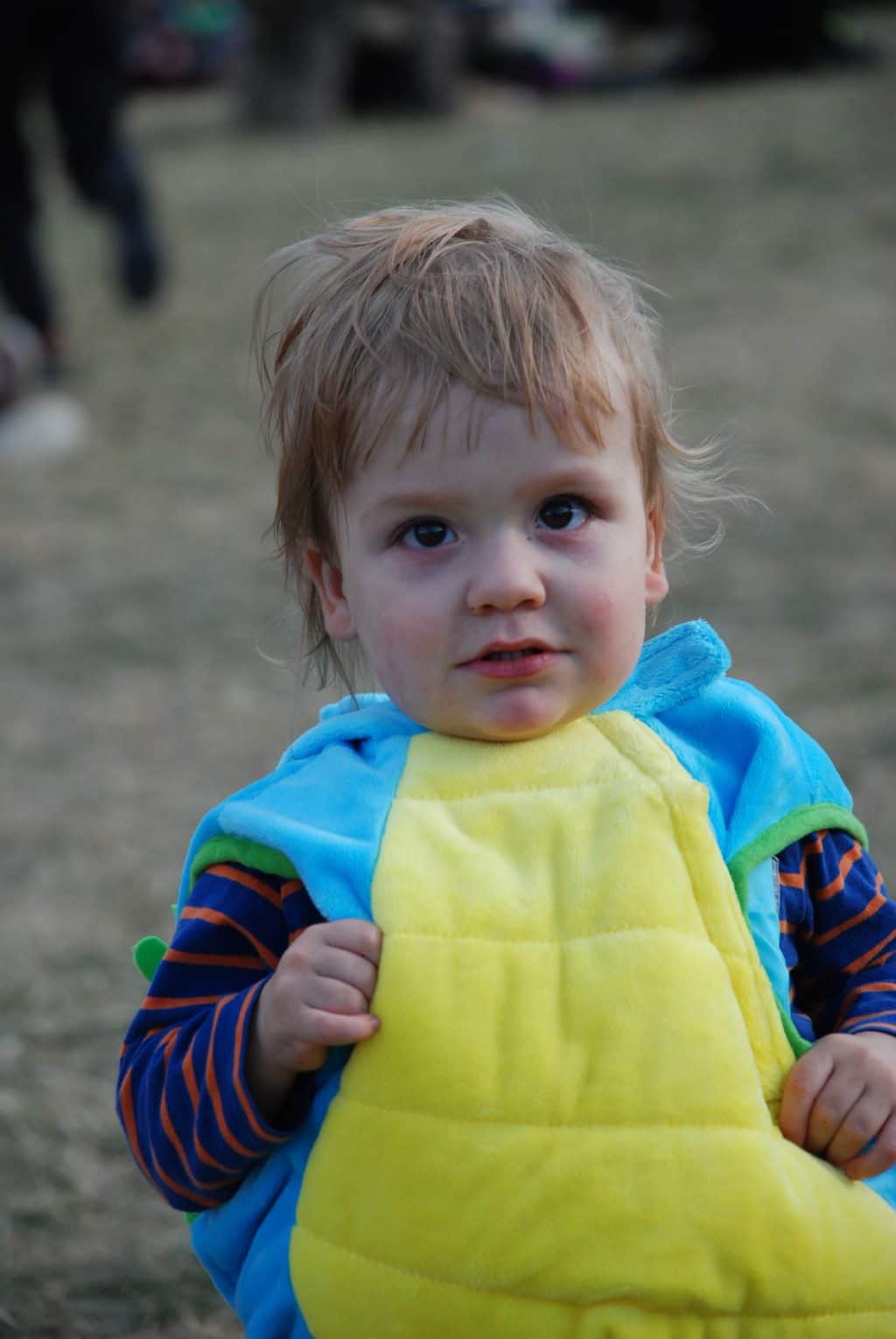 Scenes from Shambala Festival