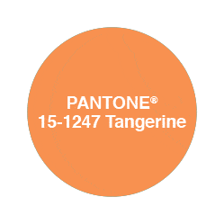 colour your world in Pantone tangerine