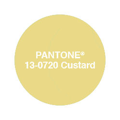 Pantone custard
