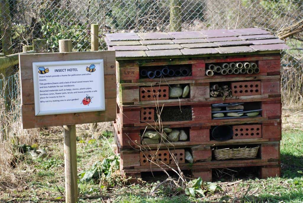 Bug Hotel