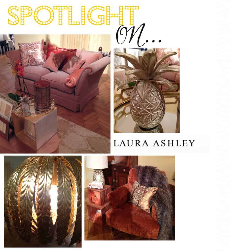spotlight_on_laura