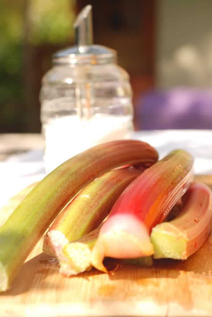 homemade rhubarb cordial