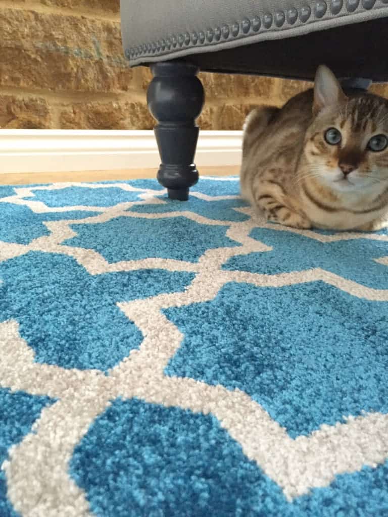 Teal Rug From Benuta