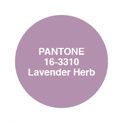 Pantone Lavender Herb