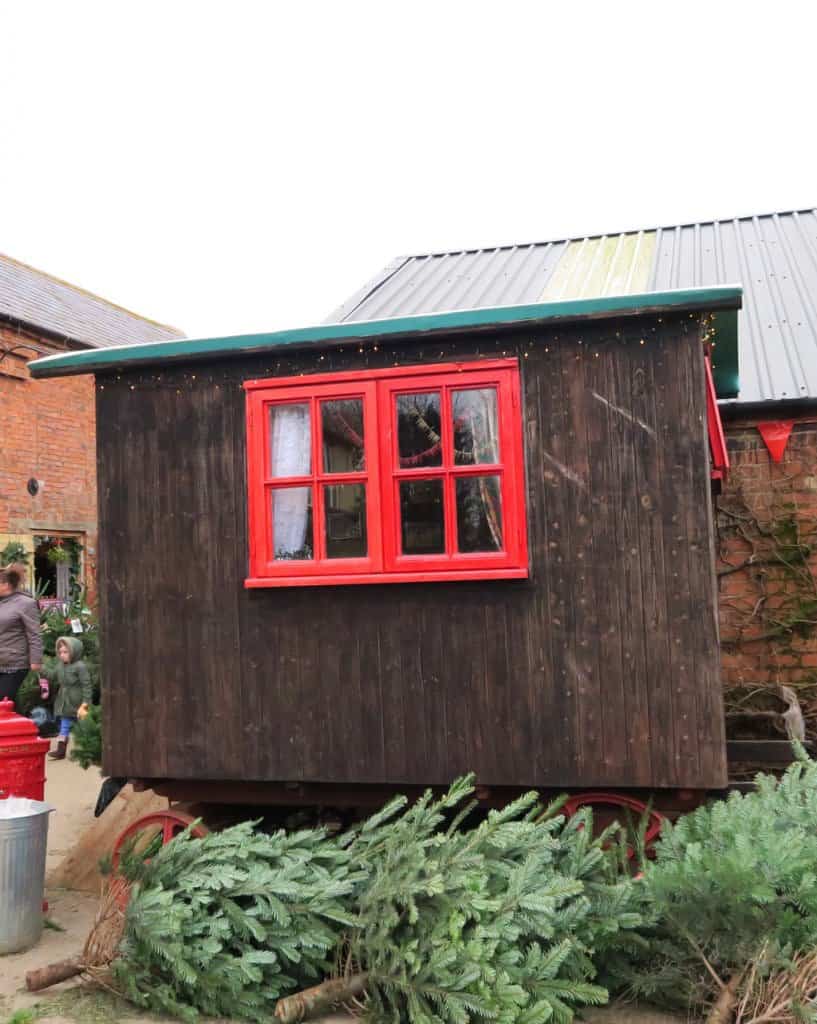 Welford Christmas Tree Farm