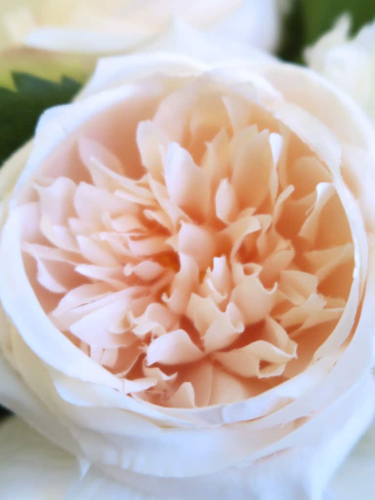 Faux florals by Jane Packer
