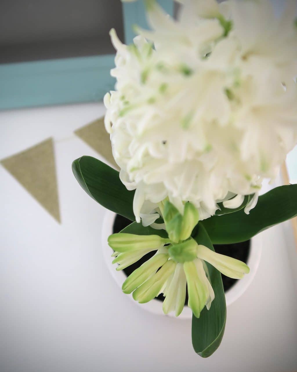 Styling The Seasons | April