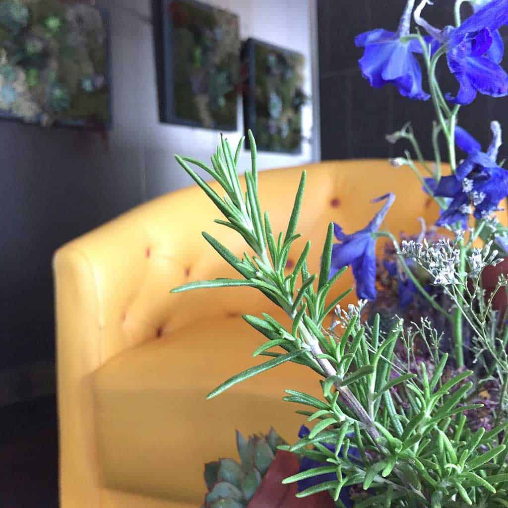 Review of the Montcalm East in Shoreditch