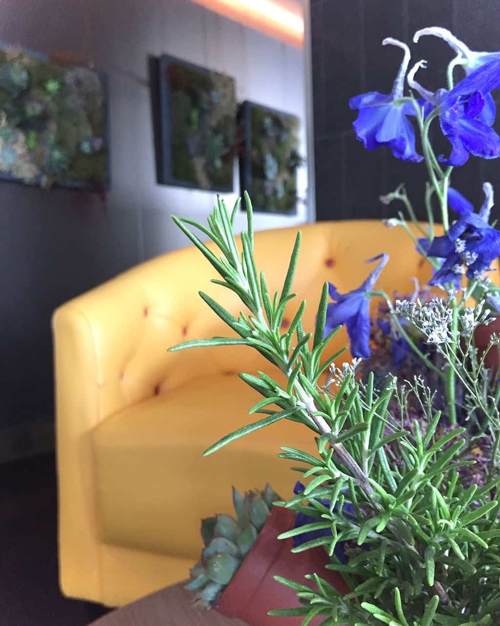 Montcalm Skybar {Montcalm Shoreditch London Tech City Review}