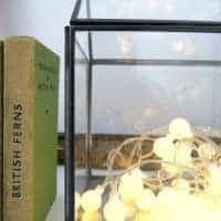a mini greenhouse from Rose & Grey