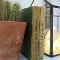 a mini greenhouse from Rose & Grey