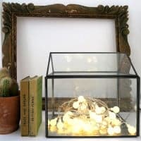 mini greenhouse