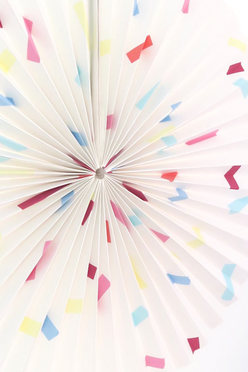 paper-circle-fan-close-up