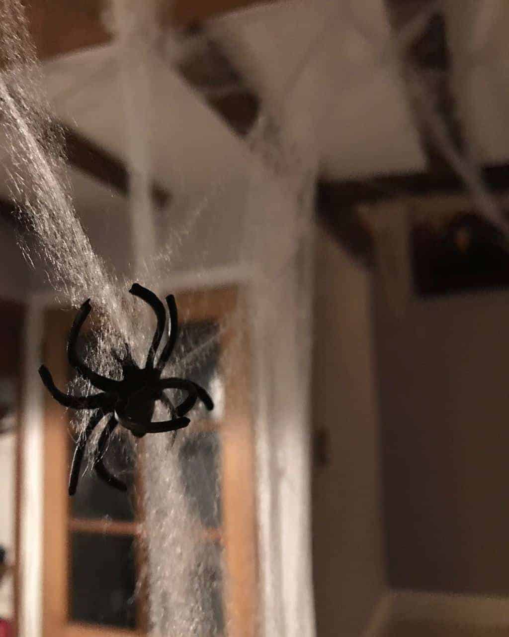 Halloween Party Decor