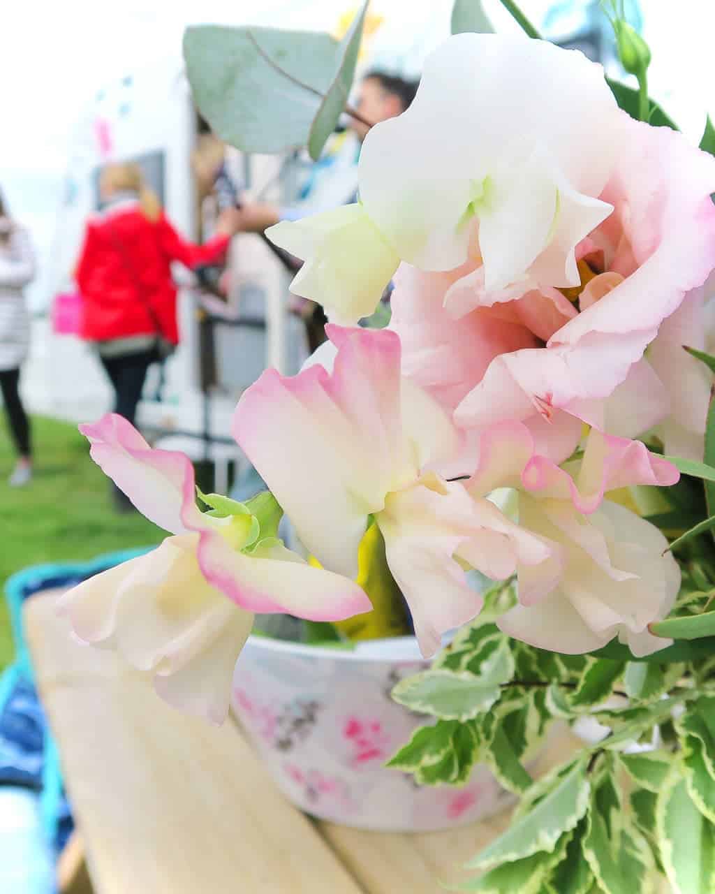 Joules at Badminton Horse Trials