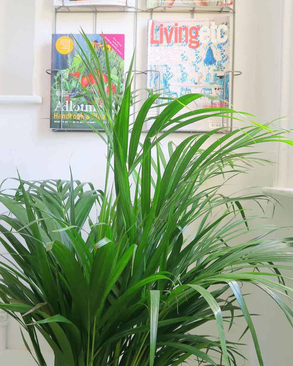 5 tips for a simple bathroom makeover from The Listed Home