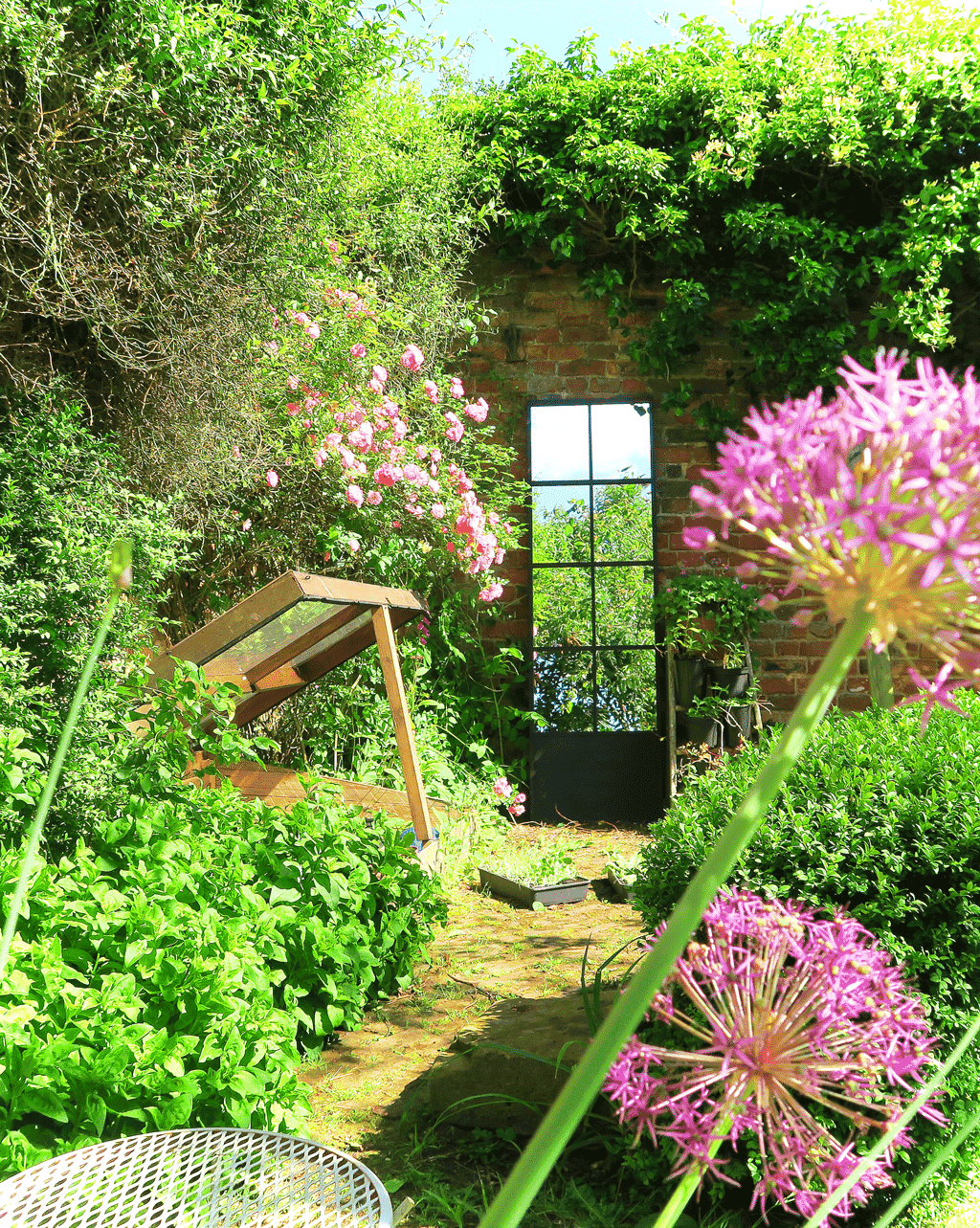 Our walled cottage garden in the summer is filled with alliums and roses. A strategically placed garden mirror will illuminate even the gloomiest corner and also give tantalising glimpses into other areas.