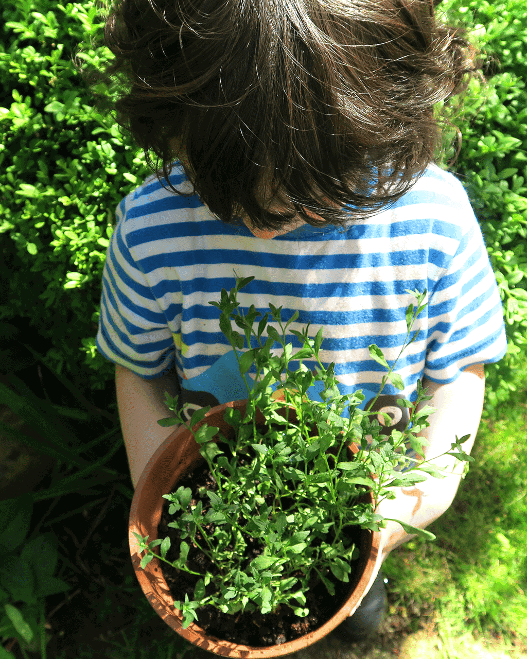 Getting kids involved with gardening is a great way to spend time outdoors as a family.