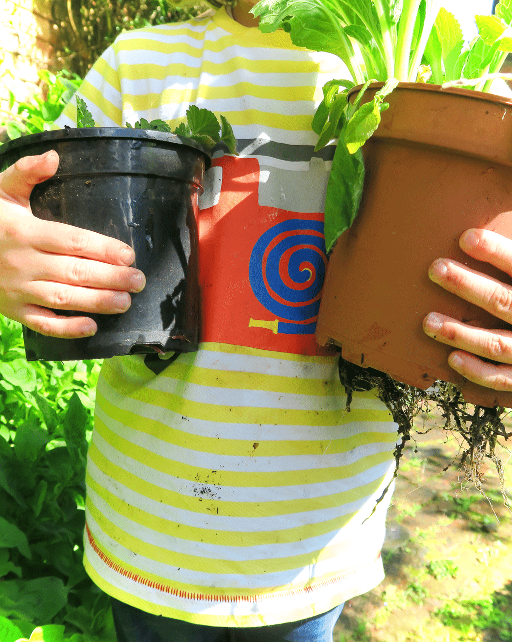 Getting kids involved with gardening is a great way to spend time outdoors as a family.