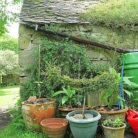 Bosinver Farm Cottages Review by The Listed Home