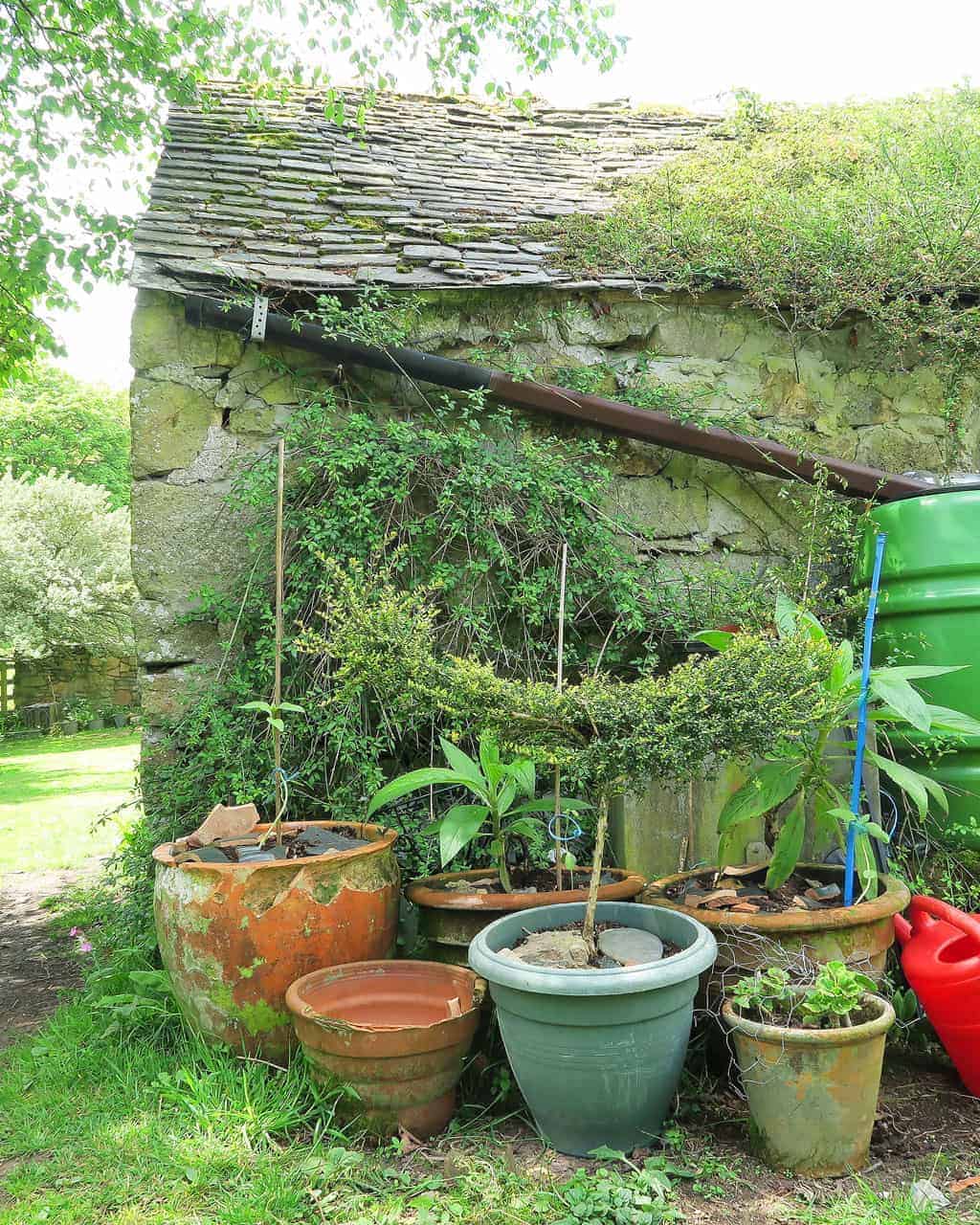 27 of the Best Gardening Books for Beginners