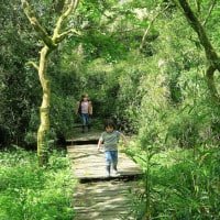 Bosinver Farm Cottages Review by The Listed Home