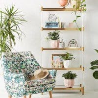 Liberty for Anthropologie