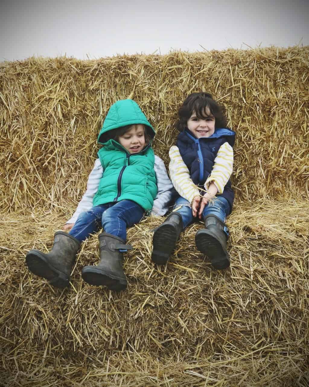 Pumpkin Picking in Staffordshire | Free range family fun at Bednall Pick Your Own Pumpkins