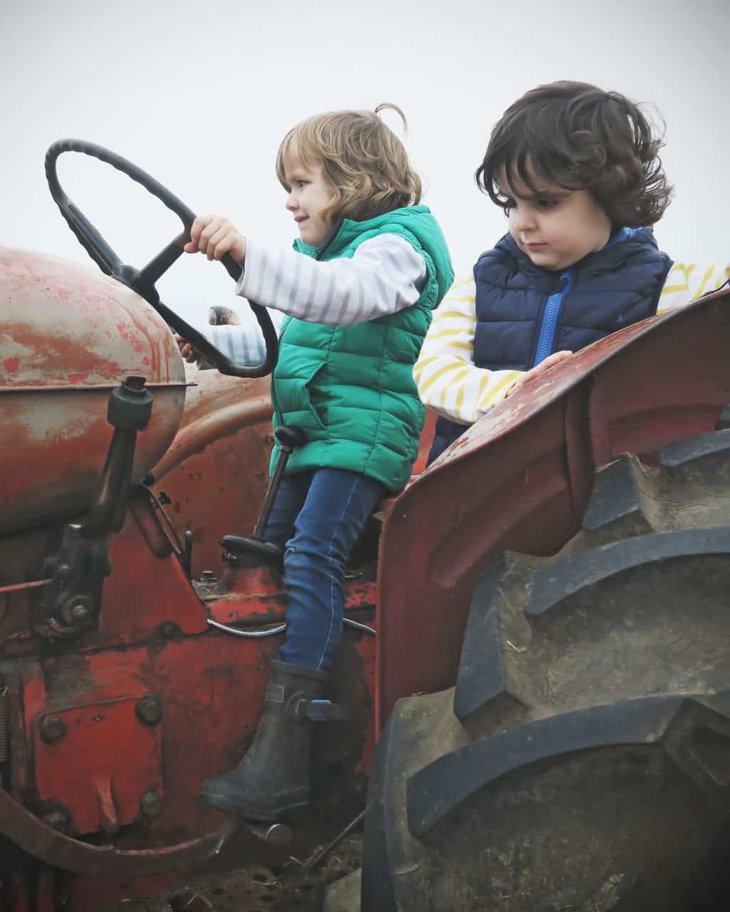 Pumpkin Picking in Staffordshire | Free range family fun at Bednall Pumpkin Farm