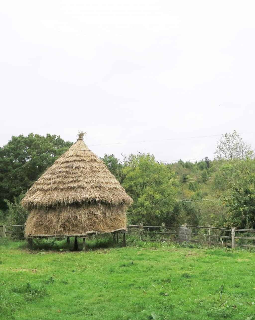 The working farm at the Chiltern Open Air Museum