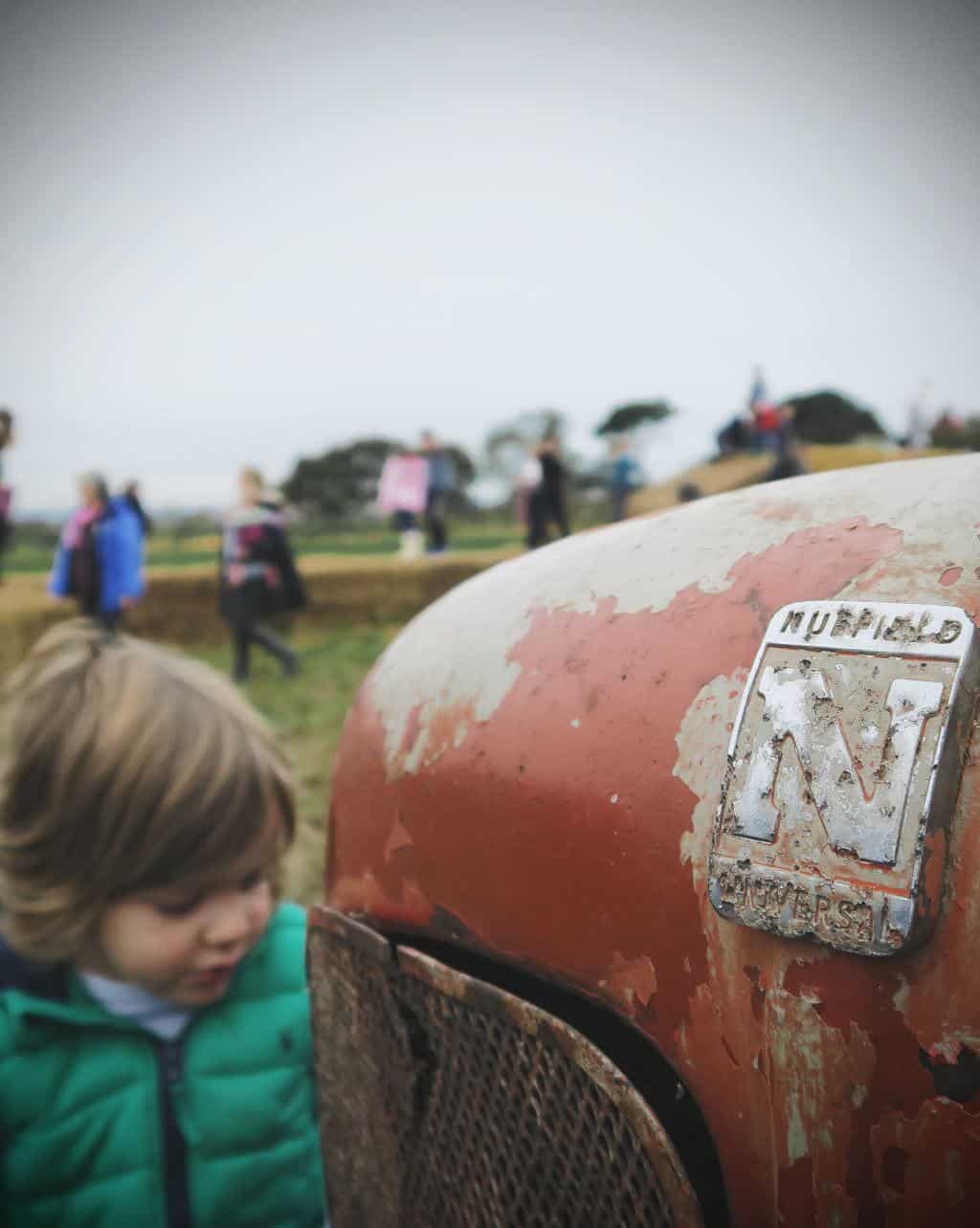 Pumpkin Picking in Staffordshire | Free range family fun at Bednall Pumpkin Farm