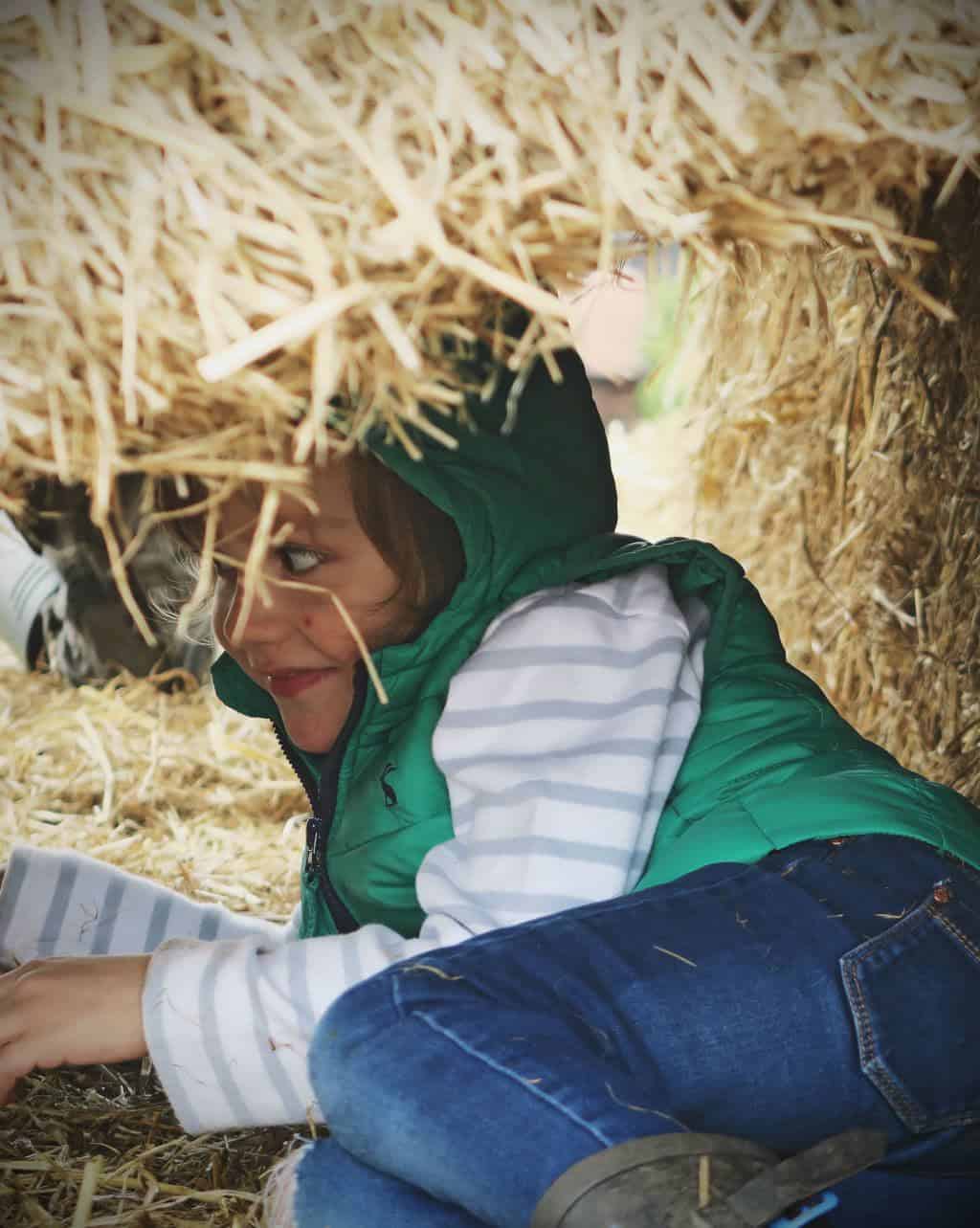 Pumpkin Picking in Staffordshire | Free range family fun at Bednall Pumpkin Farm