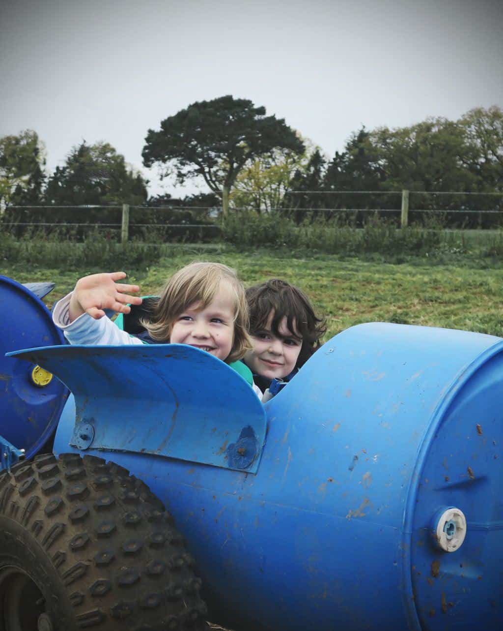 Pumpkin Picking in Staffordshire | Free range family fun at Bednall Pumpkin Farm