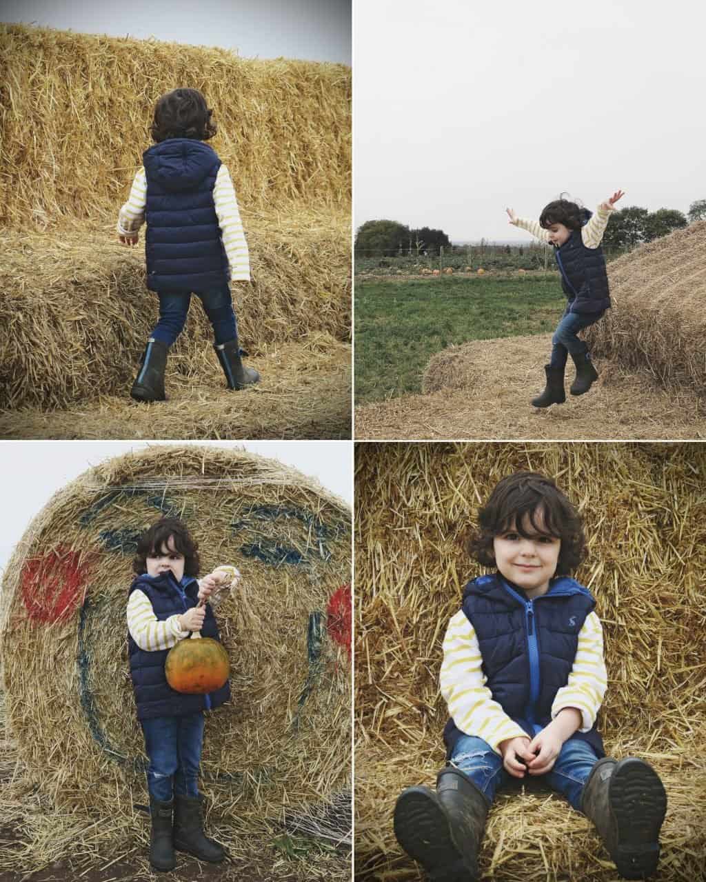 Pumpkin Picking in Staffordshire | Free range family fun at Bednall Pumpkin Farm