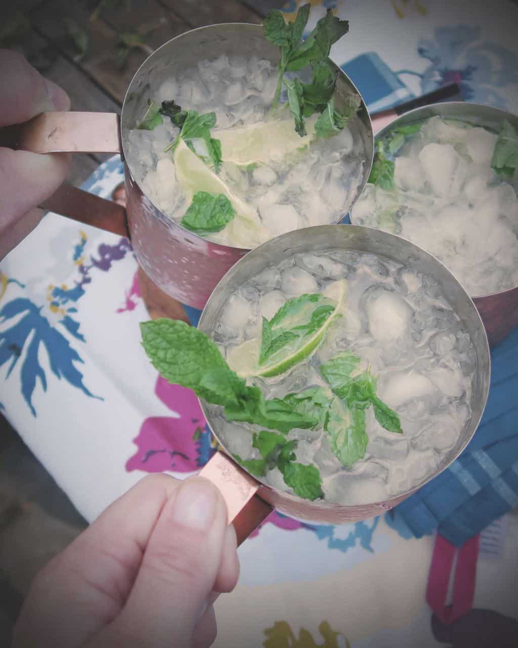 recipe to show how to make the perfect Mojito