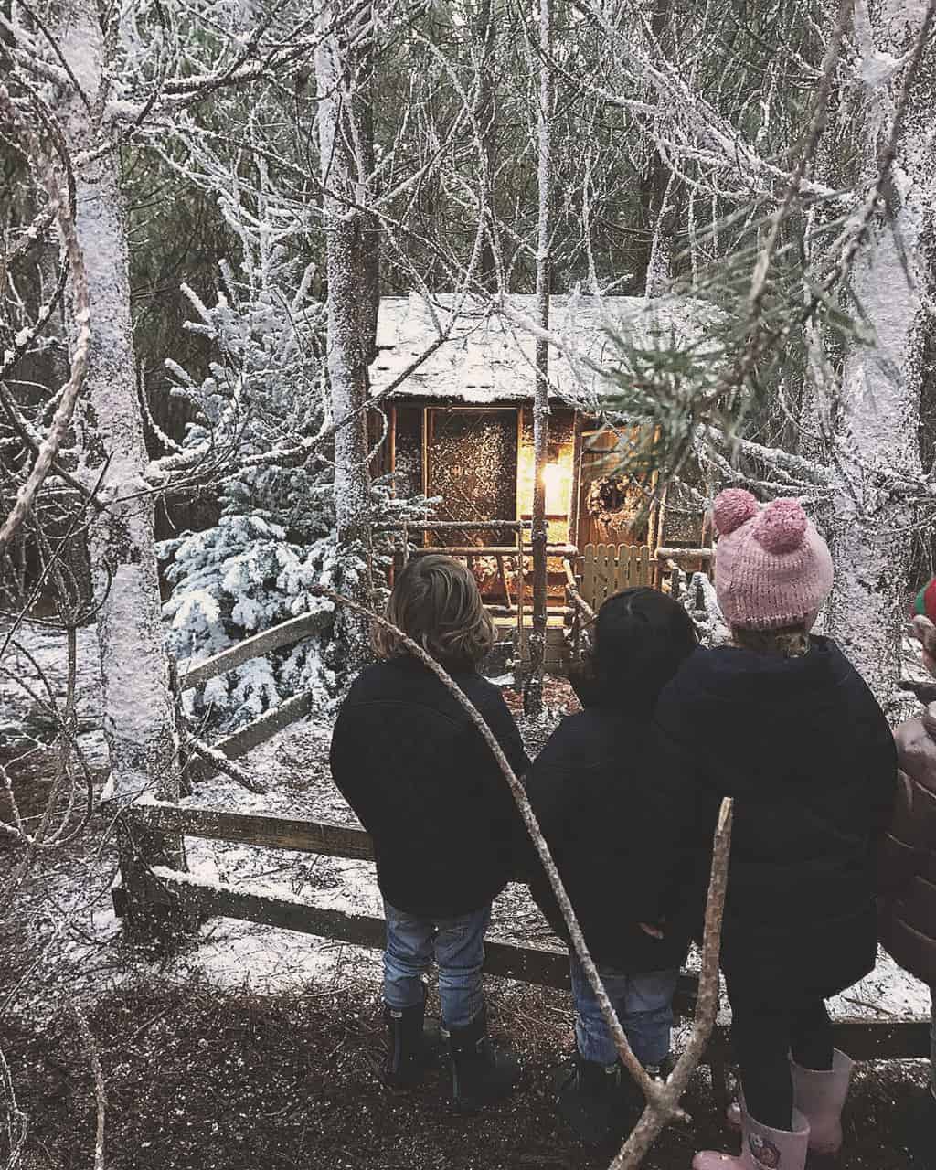 In the magic forest at Lapland UK — our lapland UK review