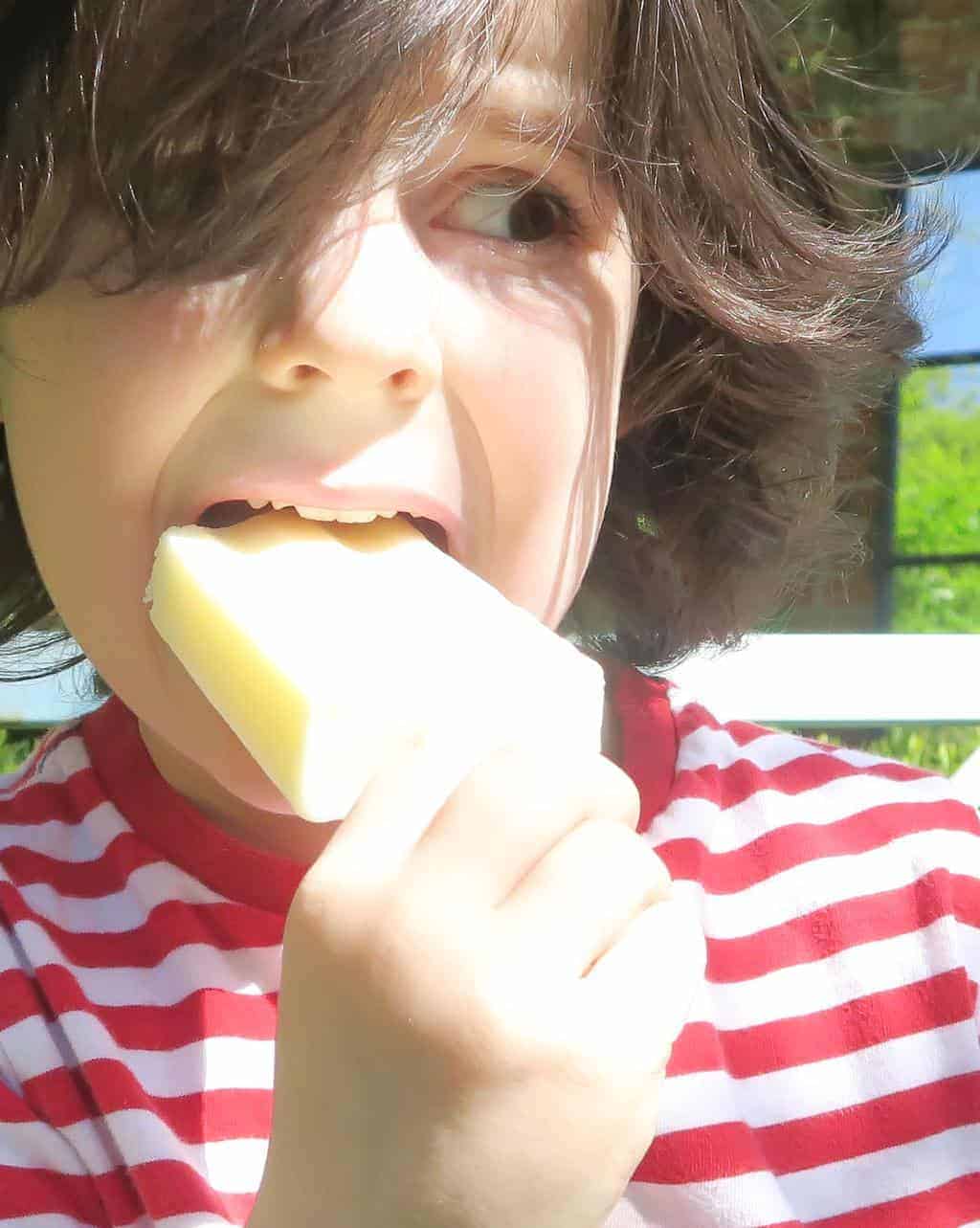 Recipe for Homemade Milk Ice Lollies