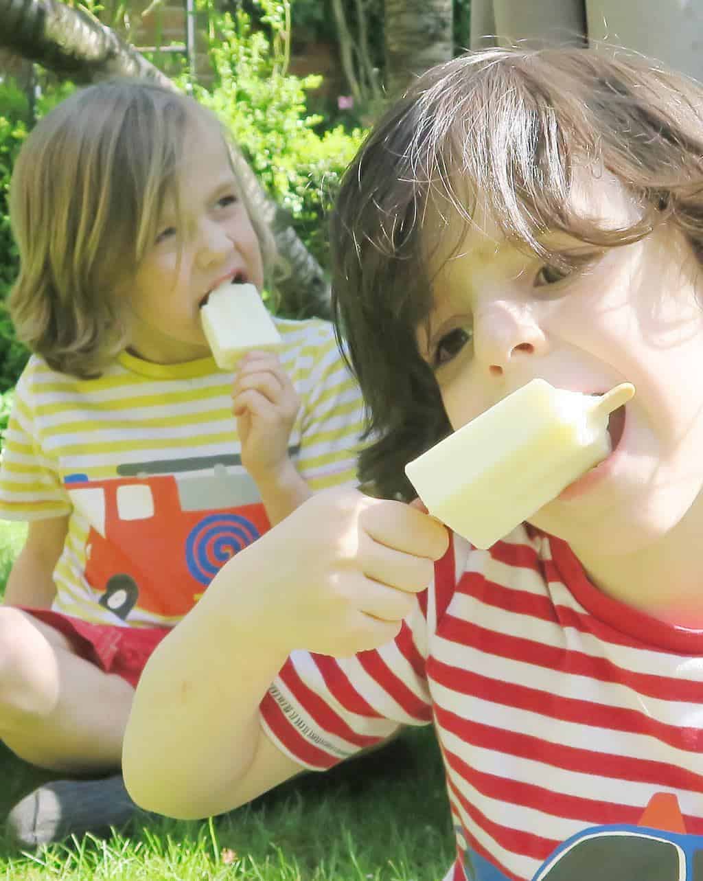 Recipe for Homemade Milk Ice Lollies