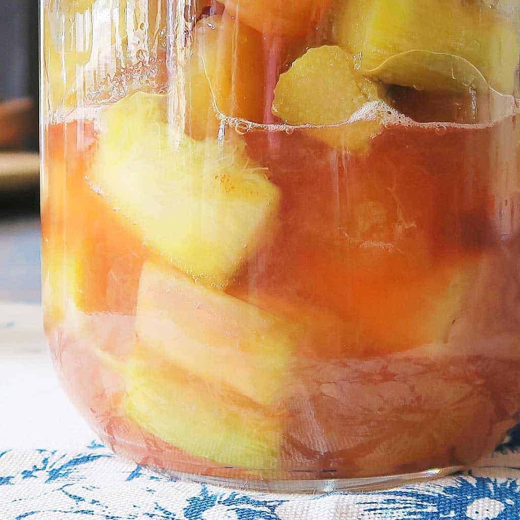homemade ginger and rhubarb gin