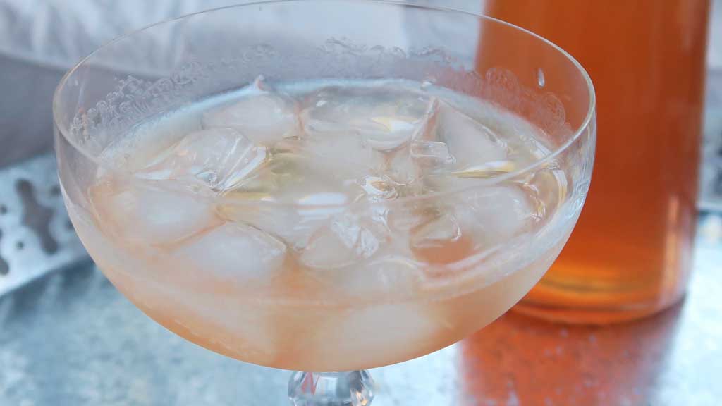 homemade ginger and rhubarb gin
