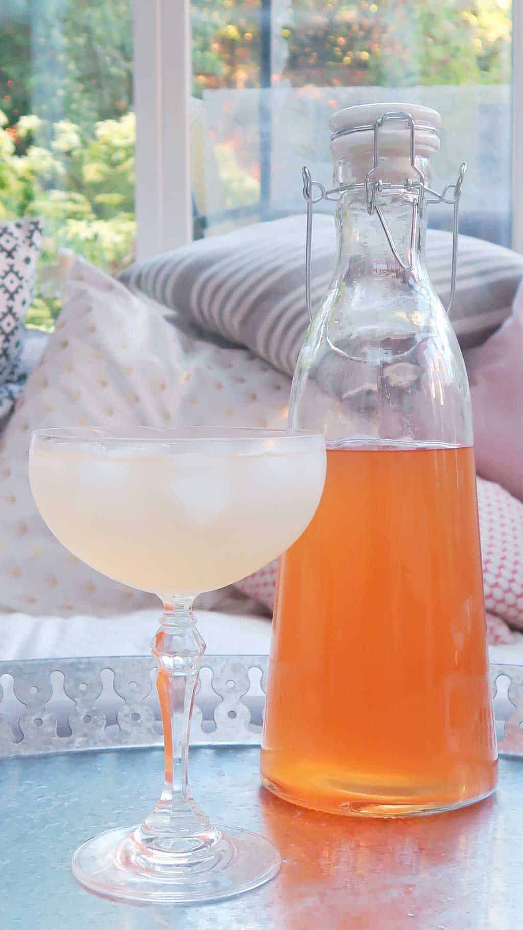 homemade ginger and rhubarb gin