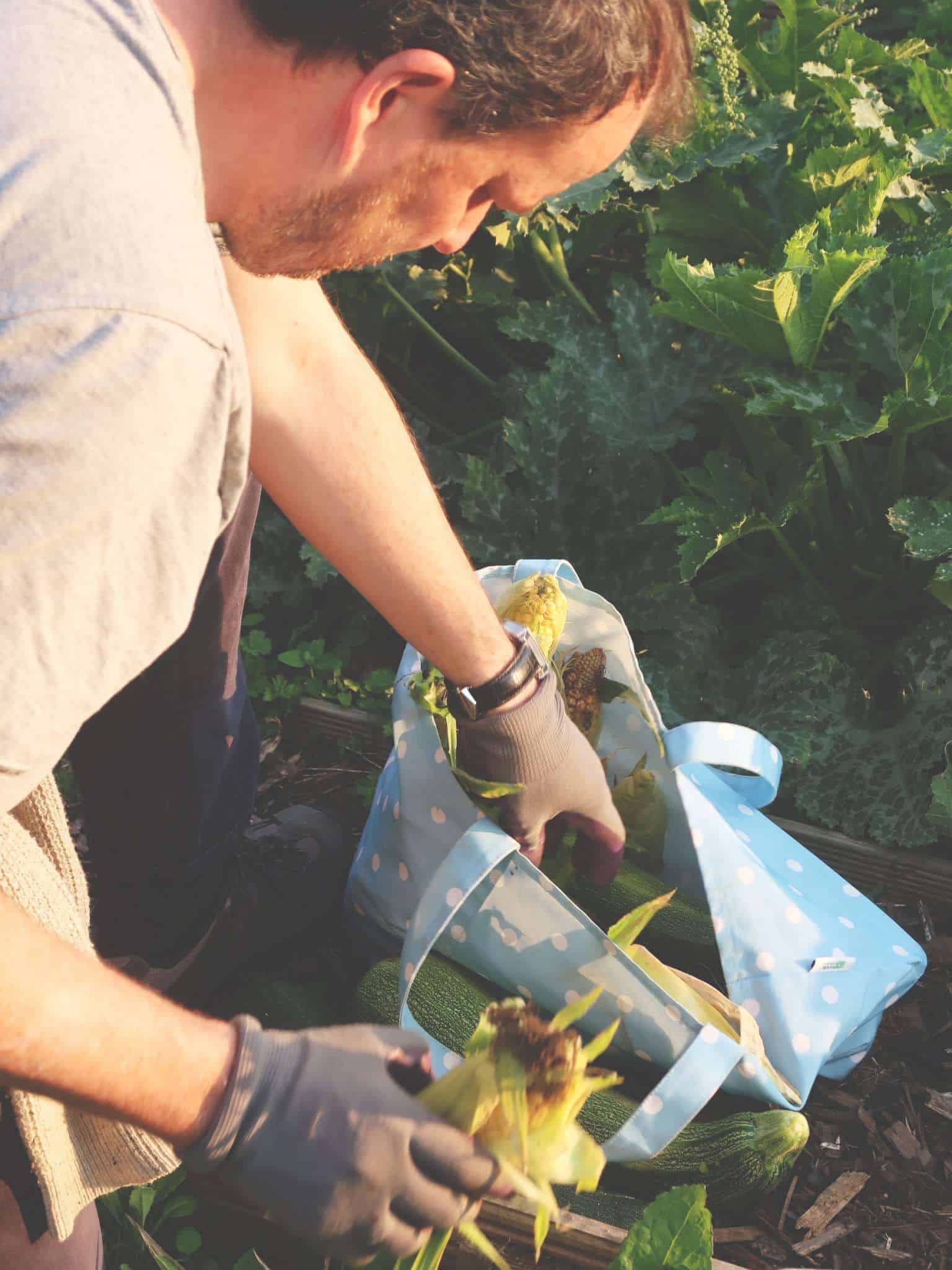 Plastic Free For a Week {Family Sustainability Challenge} - Picking the veg