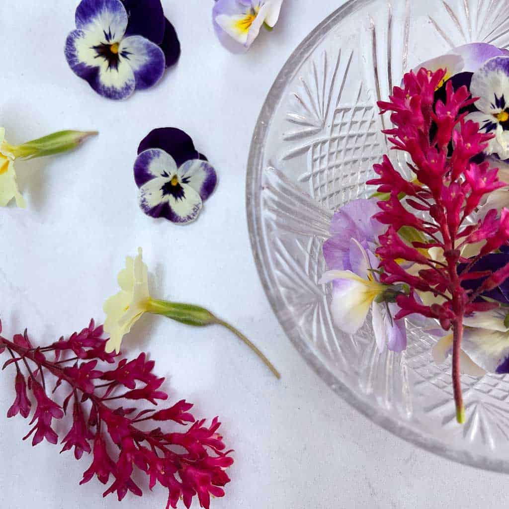 Some edible flowers from our garden