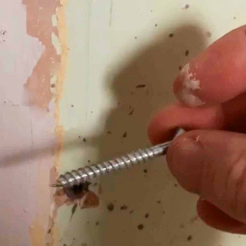  remove a wall plug or rawl plug before filling