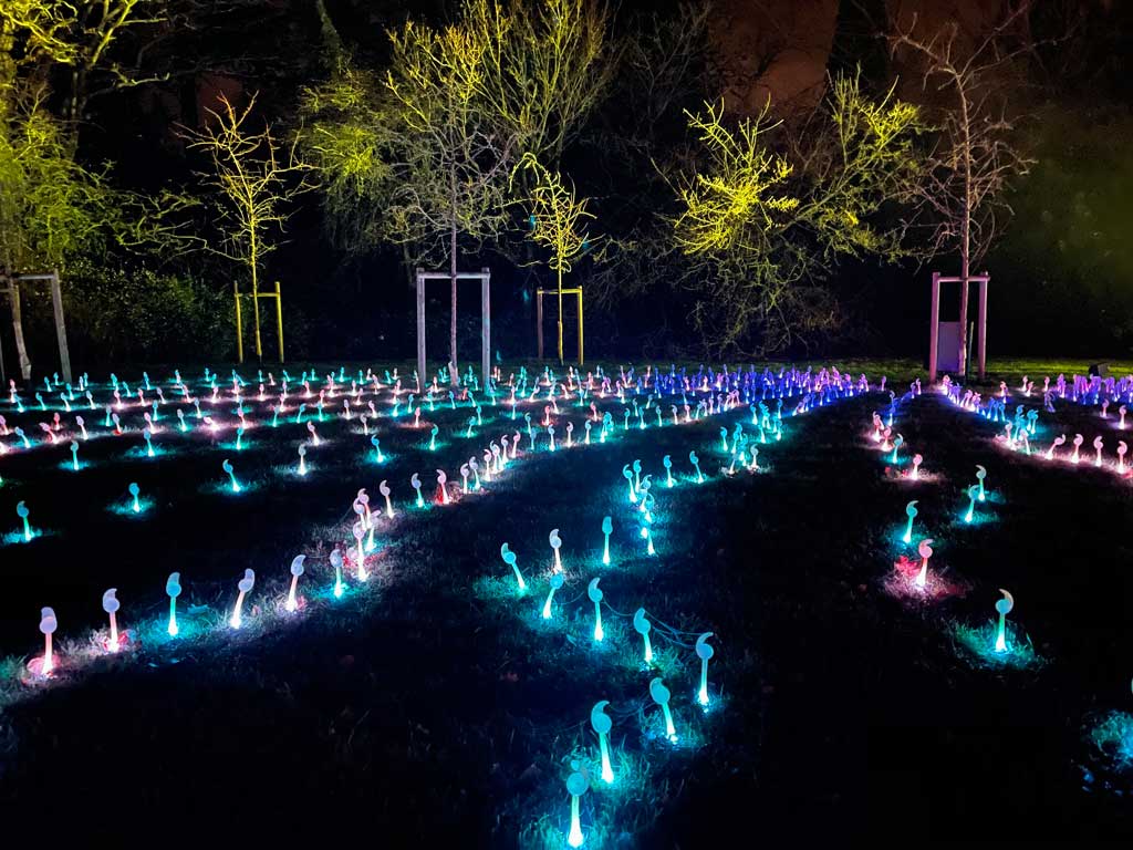 The Blenheim Palace Christmas Lights Trail