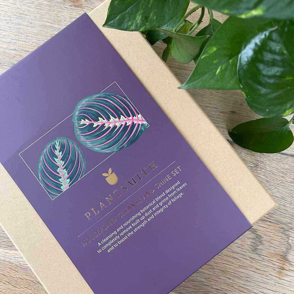 These sustainable Valentine's day gift ideas offer something a little more thoughtful than traditional flowers or chocolates; and will last longer too.
