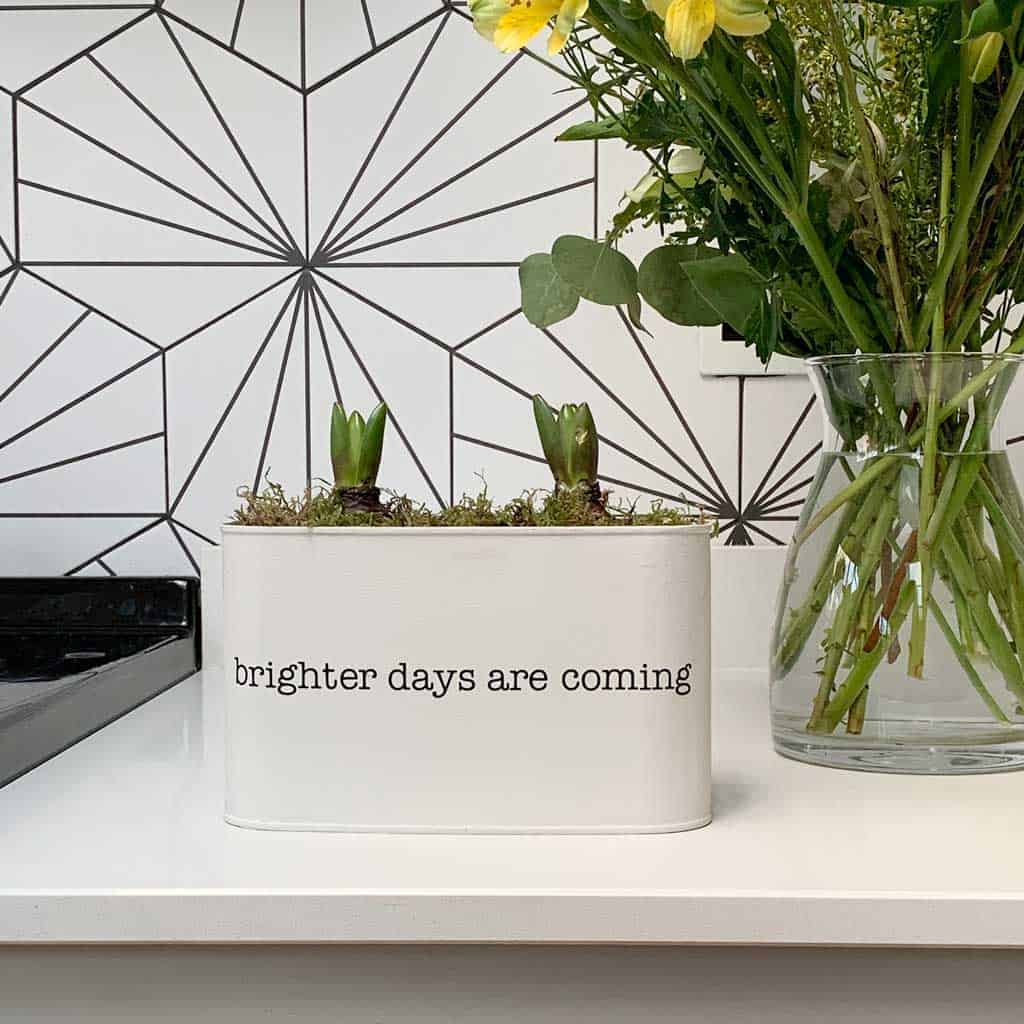 Cheap home decor ideas - create a DIY indoor planter from a recycled coffee tin.