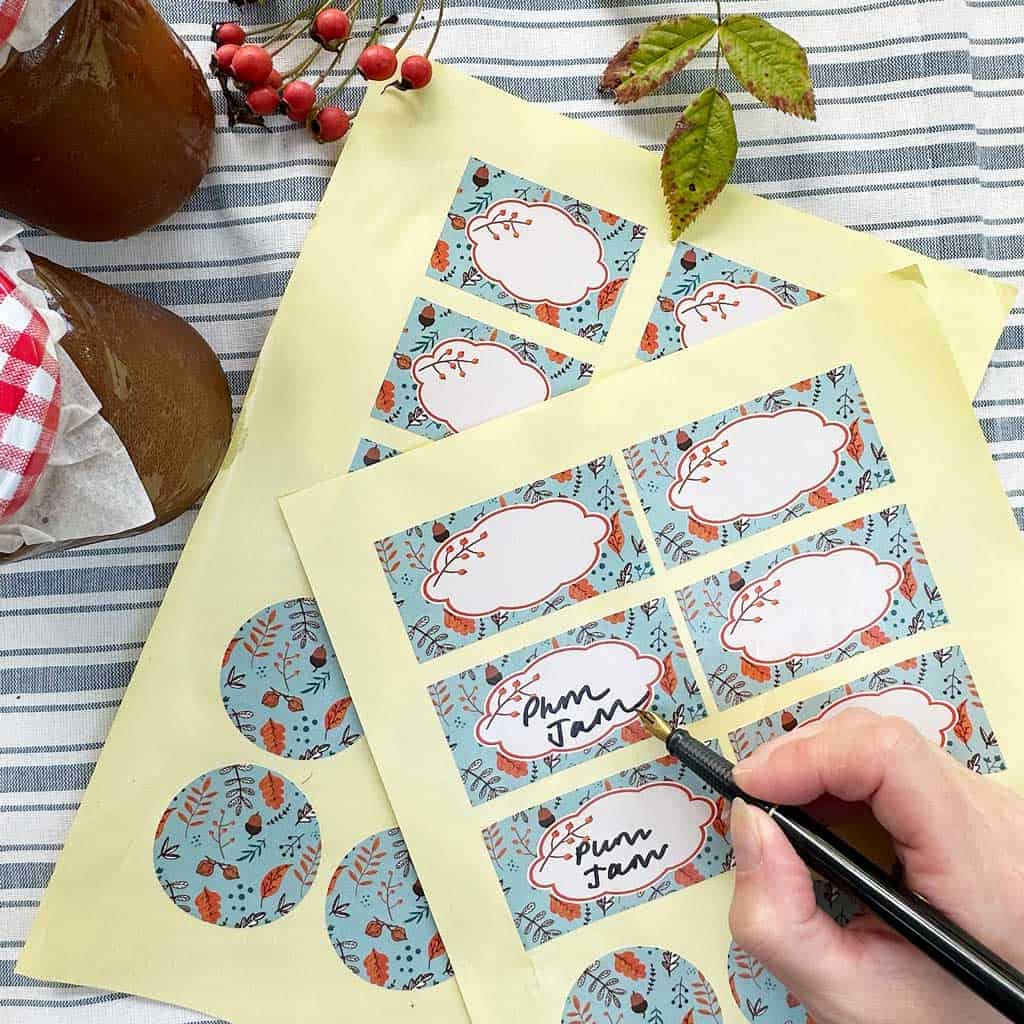 A collection of free SVGs and printables, along with some that you can buy.