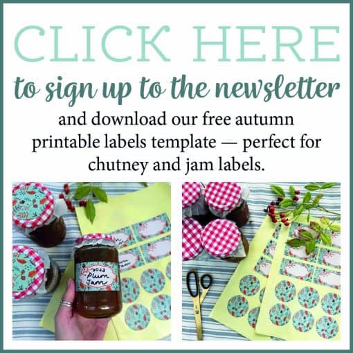 Pretty Jam Labels Free Printable Labels Template