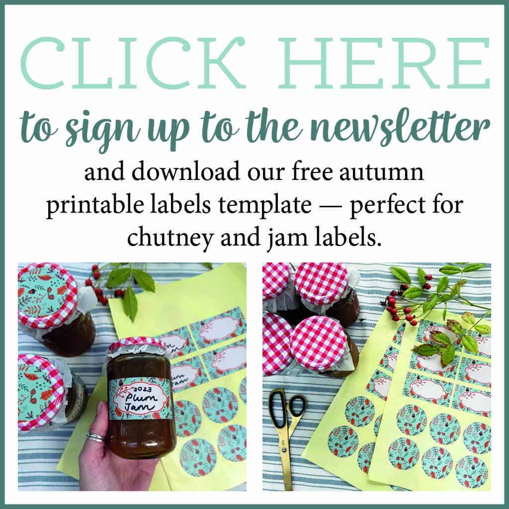 Download our free autumn printable labels — perfect for chutney and jam labels.